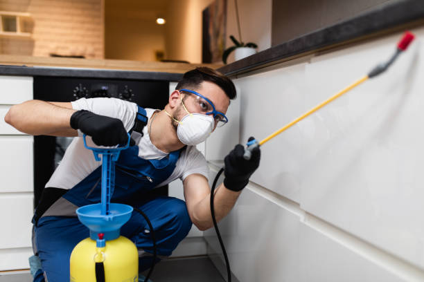 Flea Control Services in Dinuba, CA