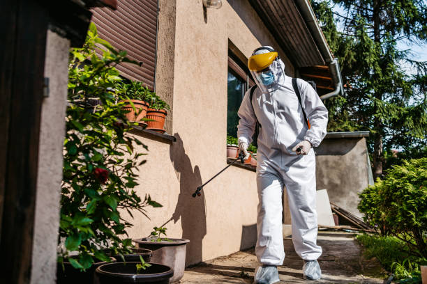 Best Pest Control for Restaurants  in Dinuba, CA