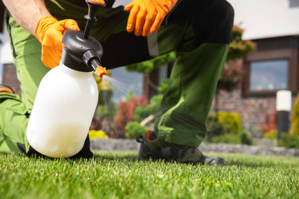 Best Cockroach Control Services  in Dinuba, CA