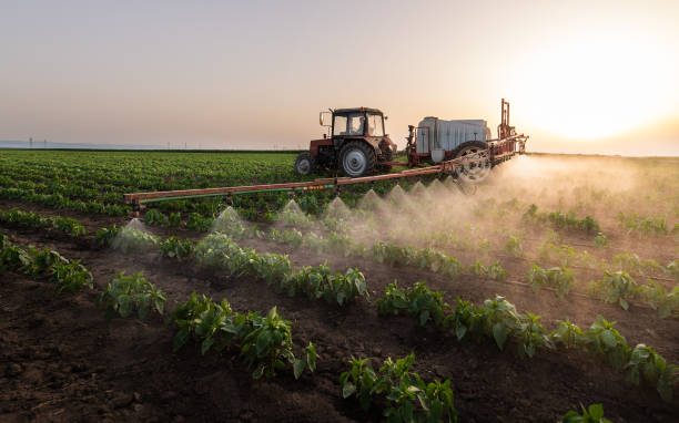 Best Spider Control Near Me  in Dinuba, CA