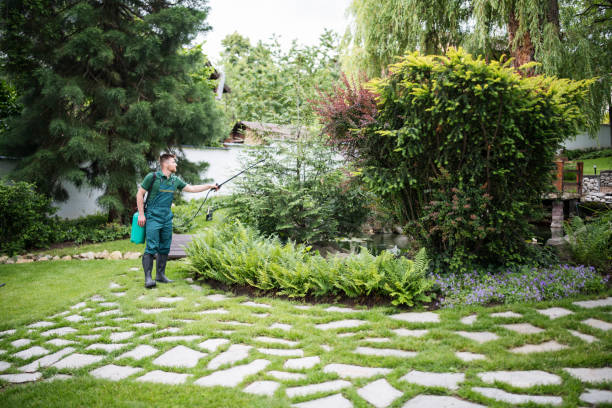 Best Pest Control for Homes  in Dinuba, CA