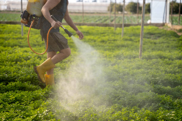 Best Mosquito Control Services  in Dinuba, CA