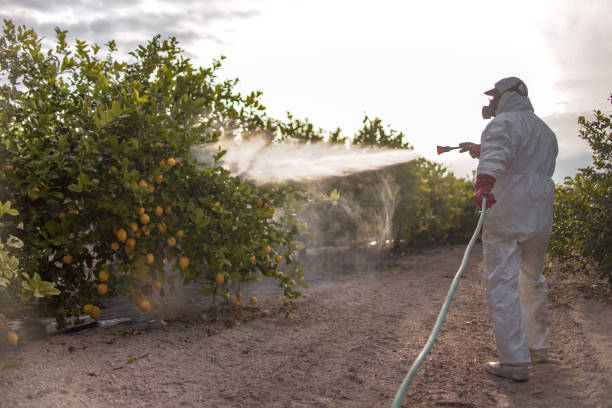 Best Pest Prevention Services  in Dinuba, CA