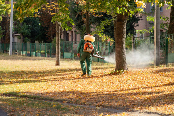 Best Best Pest Control Companies  in Dinuba, CA