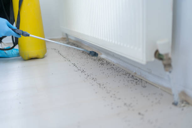 Best Exterminator Services  in Dinuba, CA
