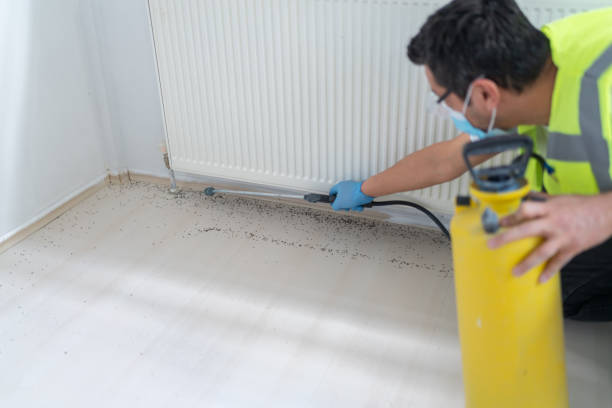 Best Pest Inspection Near Me  in Dinuba, CA