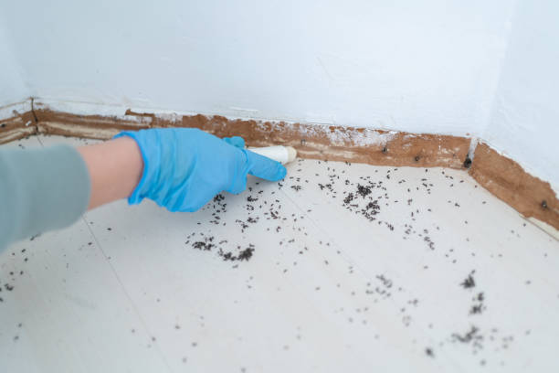 Pest Control for Restaurants in Dinuba, CA